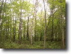 9.39 acres of Wooded Land.