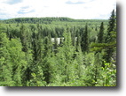 2,480 Acres Sportsman's Paradise Alaska