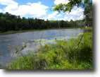 57 Acres 2 Ponds Woods Owner Financing