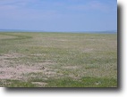 Illinois Land 40 Acres Cheap Land for Sale TX, AZ, WY & SD