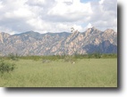 40+ Acres - Abutting State Land - $50,000