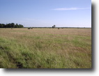 600 Acres in Jefferson County, Texas