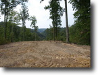 Tennessee Hunting Land 16 Acres Pleasant Hill Cemetary Rd (16.01 ac)