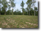 Tennessee Hunting Land 25 Acres Pleasant Hill Cemetary Rd (24.68 ac)