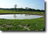 Alabama Farm Land 97 Acres Otero Poultry and Cattle Farm