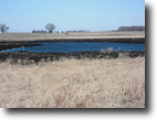 88 acres Freeborn Co., MN