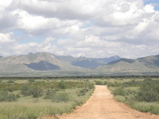 Looking north at the Little Dragoon Mountains.