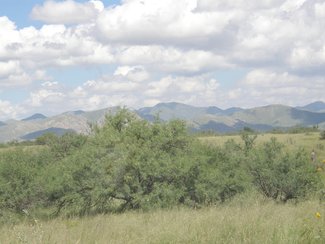 another view looking north.