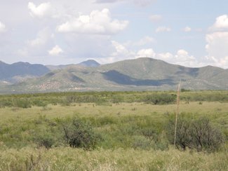 Looking to the northeast.