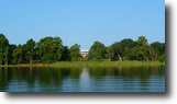 Florida Farm Land 312 Acres Orleans on Lake Eloise