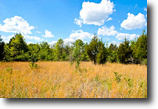 Oklahoma Farm Land 8 Acres Beautiful Oklahoma Farm Land For Sale