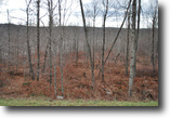 Lot 66, The Woods at Duck Harbor, 6.1 acre