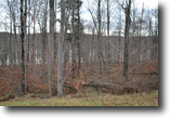 Lot 62, The Woods at Duck Harbor, 5.5 acre