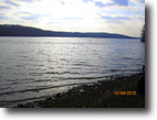 160 Lakefront acres! Lake Barkley