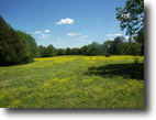 Tennessee Farm Land 87 Acres 481 Computer Lane (87 ac)