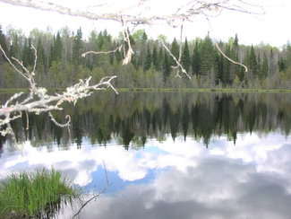 South Lake on west portion of property