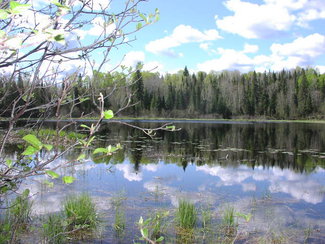 North Lake on west portion of property