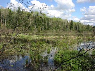Part of North Lake