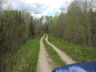 Road to boat launch