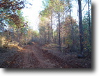 tishomingo