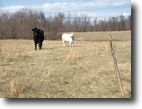 Tennessee Farm Land 118 Acres Molder Mountain Road (117.52 ac)