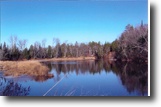 Michigan Hunting Land 52 Acres tbd M-95  mls #1057790