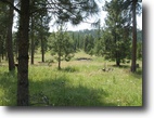 Oregon Hunting Land 240 Acres Smith Mountain West Hunting Property
