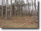 Tennessee Horse Farm 34 Acres Hwy 111 - SR8  (34.10 ac)