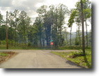 Tennessee Land 1 Acres Invest now Owner will finance this land