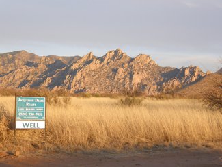Looking east from the driveway at Diamondback Road.