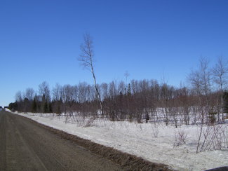 Lang Road