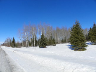 Lang Road