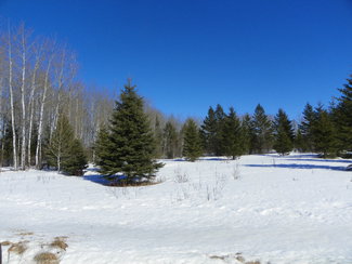 Lang Road