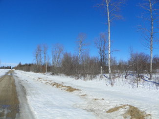 Lang Road