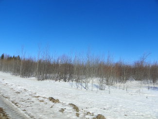 Lang Road