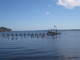 ICW View