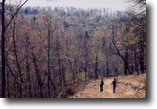 Arkansas Hunting Land 400 Acres Lake Area Multipurpose Property