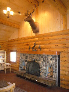 NEW LODGE FIREPLACE
