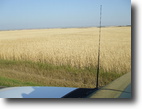 Saskatchewan Farm Land 320 Acres Saskatchewan Farmland For Sale ***SOLD***