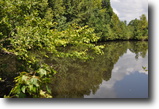 Alabama Farm Land 58 Acres Country Living --Close to the City