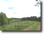 Tennessee Farm Land 750 Acres McCormick Ridge Road (750 ac)