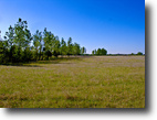 Texas Farm Land 5 Acres Prime East Texas Farm Land For Sale