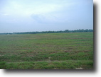 11 acres in Welsh, LA