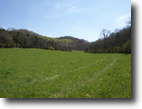 Tennessee Farm Land 599 Acres Baugh Hollow Lane (598.96 ac)