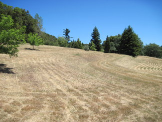 Lovely High Meadows