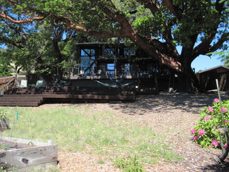 A quality home under a giant Madrone.