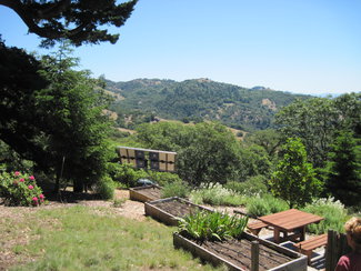 Garden with Solar Tracker beyond.