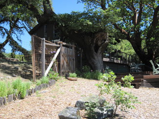 Garden with house behind.