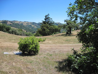 Lower meadows.
