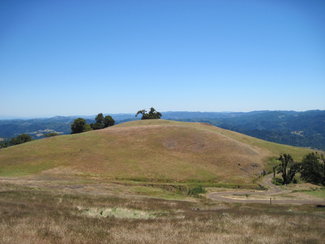 Gentle ridgetop meadows.